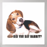 Did you Say Rabbit?  Beagle Poster posters