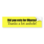 Did you vote for Obama