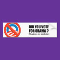 Did you vote for Obama - Thanks a lot asshole bumper stickers