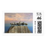 Die Wolf Meute 2 postage