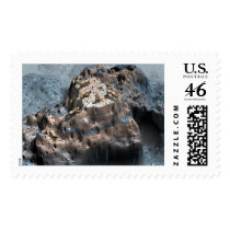 Die Wolf Meute postage