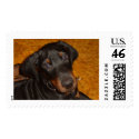 DIEGO postage