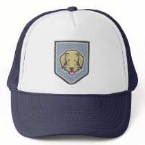 Diegokblue hats