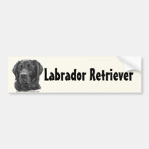 Diesel, Black Labrador Retriever Bumper Stickers