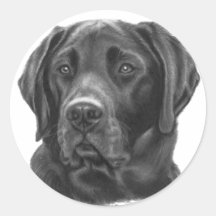 Diesel, Black Labrador Retriever Round Sticker
