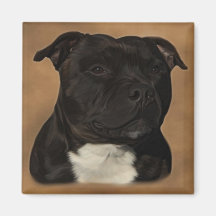 Diesel Fridge Magnet