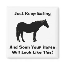 Diet Encouragement Horse Magnet