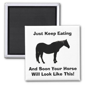 Diet Encouragement Horse Magnet