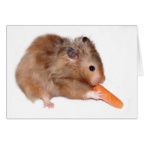 Diet lunch card