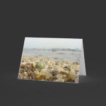 Difference - Shell and Pebbles at the beach cards