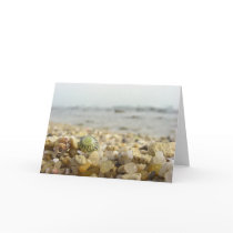 Difference - Shell and Pebbles at the beach cards