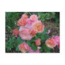 Different color roses posttcard post card