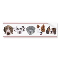 Different Dog Bumper Sticker bumper stickers