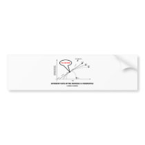 Different Fates Of The Universe In Perspective Bumper Sticker
