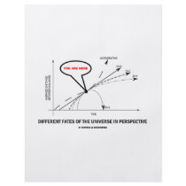 Different Fates Of The Universe In Perspective Flyer