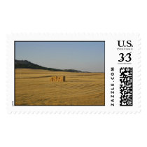 Different Fields postage by agila13 Different Fields postage