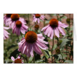 Different points of view card