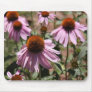 Different points of view mousepads