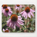 Different points of view mousepads