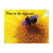 Different Post Card
