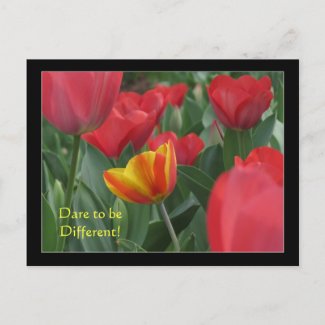 Different Tulips Postcard