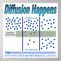 Diffusion Happens Print