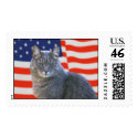 DIG-1-11 postage