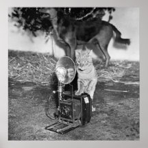 Diga el Catnip: 1936 Impresiones