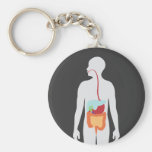 Digestive System Keychains