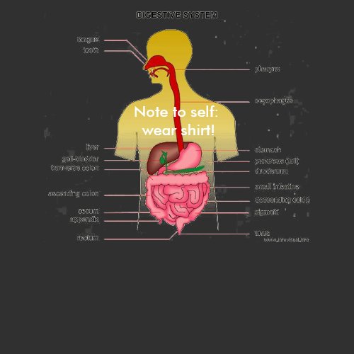 Digestive system, test day? shirt