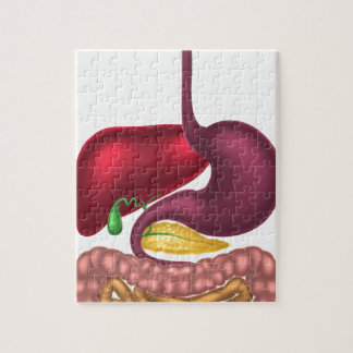 Digestive System Jigsaw Puzzles | Zazzle