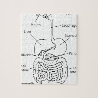 Digestive System Jigsaw Puzzles | Zazzle