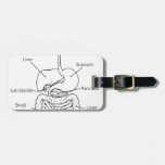 Digestive Tract System Illustration Luggage Tag