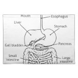 Digestive Tract System Illustration Placemat