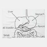 Digestive Tract System Illustration Towel