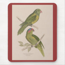 Diggles - Scaly-Breasted & Musky Lorikeets mousepads
