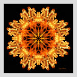 'DigiFlowers' Canvas ArtPrint 080902.52.mv99.2.2.2