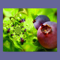 Digital Art Blueberries posters