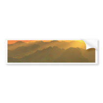 Digital Art bumper stickers