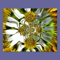 Digital Art Cone Flower posters