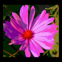 Digital Art Cosmos Print