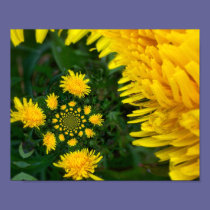 Digital Art Dandelion posters