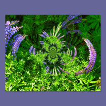 Digital Art Lupine posters