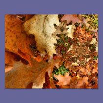 Digital Art Oak Leaves posters