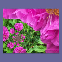 Digital Art Rose posters