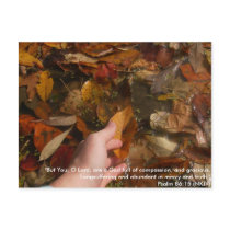 Digital Camera 491, "But You, O Lord, are a God... Postcards