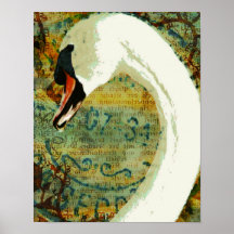 Digital Collage Swan Posters