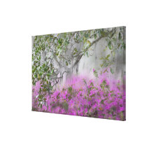 Digital Composite of Azaleas and magnolia tree Gallery Wrap Canvas