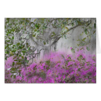 Digital Composite of Azaleas and magnolia tree Greeting Card