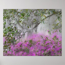 Digital Composite of Azaleas and magnolia tree Posters
